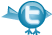 icontexto1-192x096